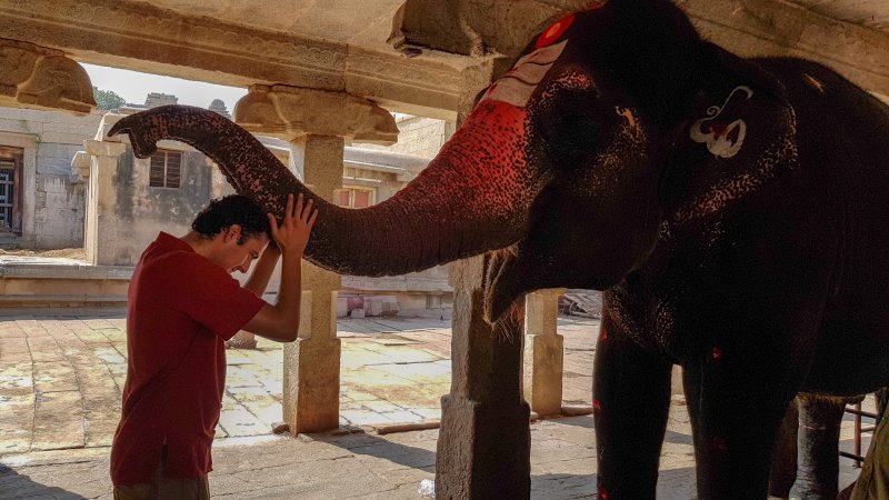 elefanta en templo virupashka hampi