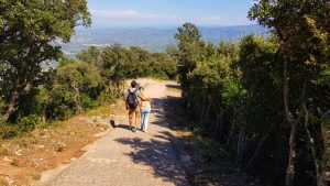 cómo planificar un viaje tips