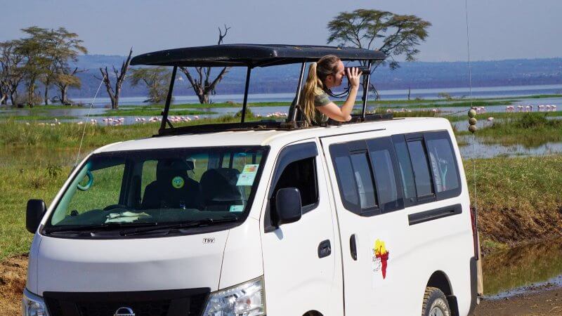 safari barato en Kenia - cómo hacerlo